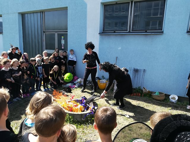 img00036.jpg