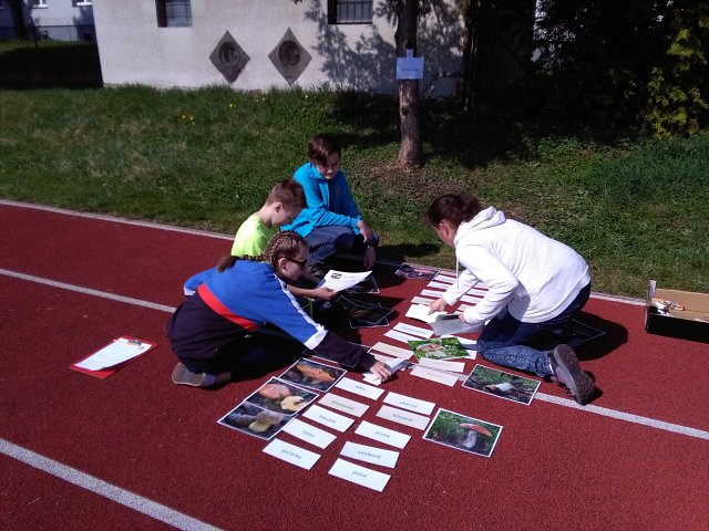 img00025.jpg