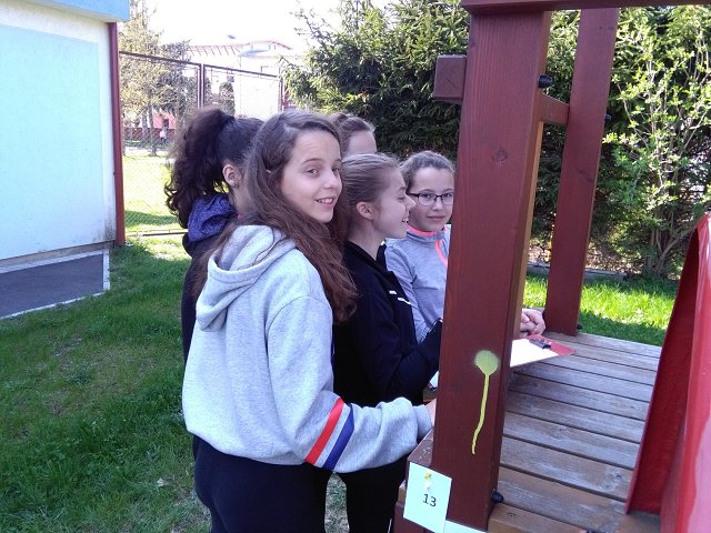img00029.jpg