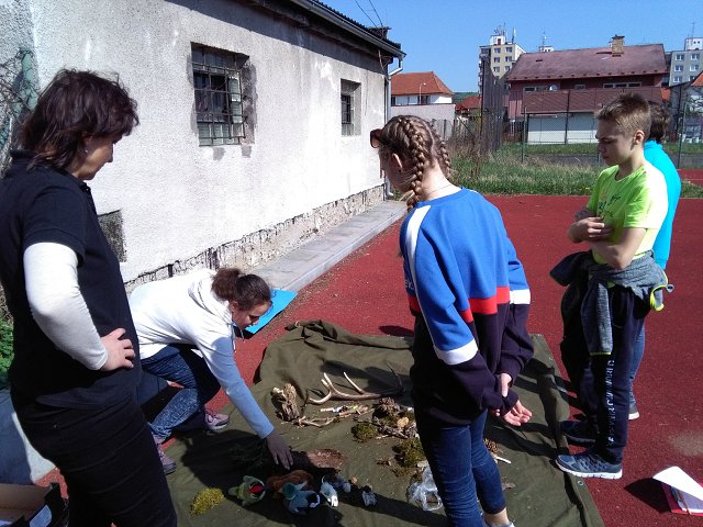 img00033.jpg