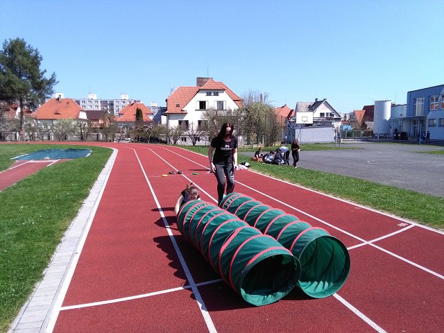 img00048.jpg