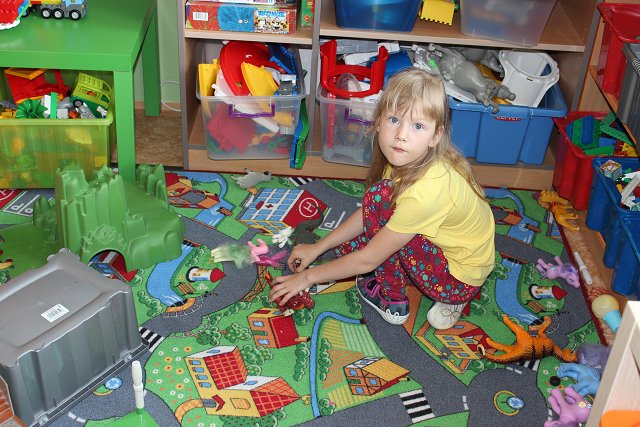 img00005.jpg
