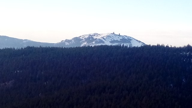 img00010.jpg