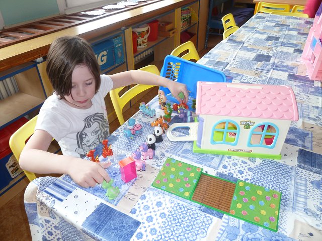 img00061.jpg