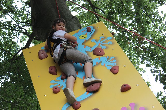 img00027.jpg