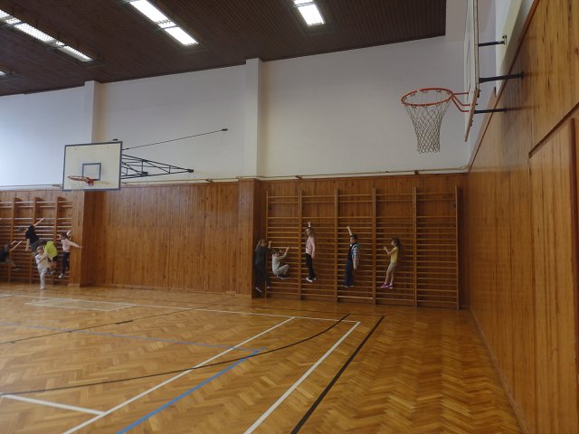 img00054.jpg