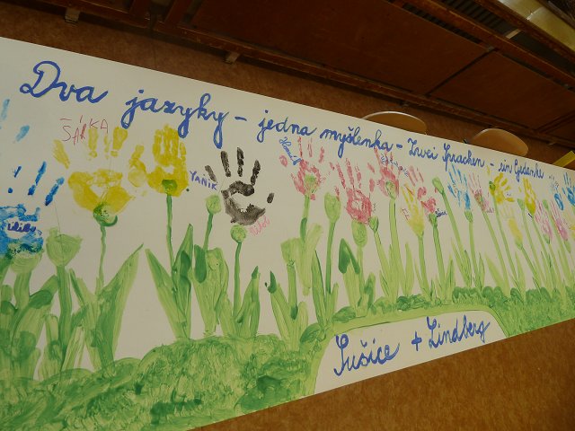 img00081.jpg