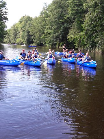 img00011.jpg