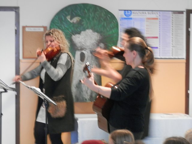 img00008.jpg