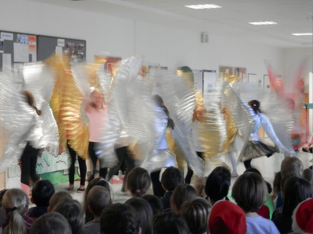 img00016.jpg