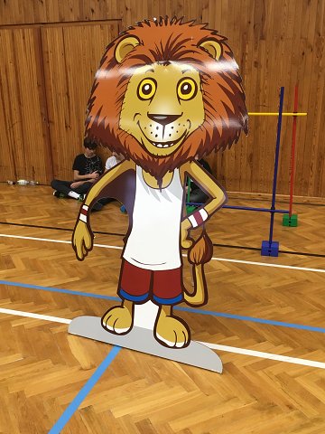img00008.jpg