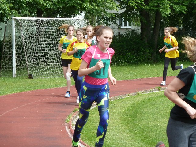 img00019.jpg