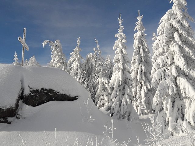 img00038.jpg