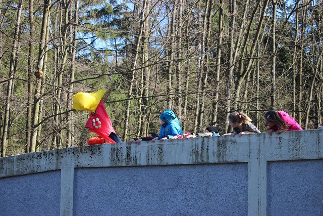 img00028.jpg