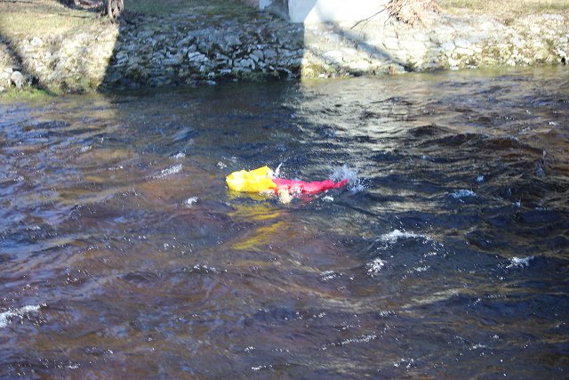 img00031.jpg