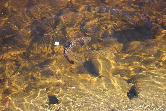 img00040.jpg