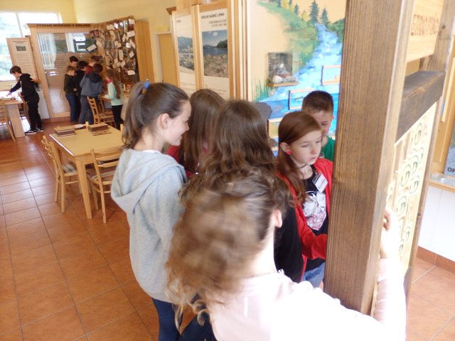 img00017.jpg