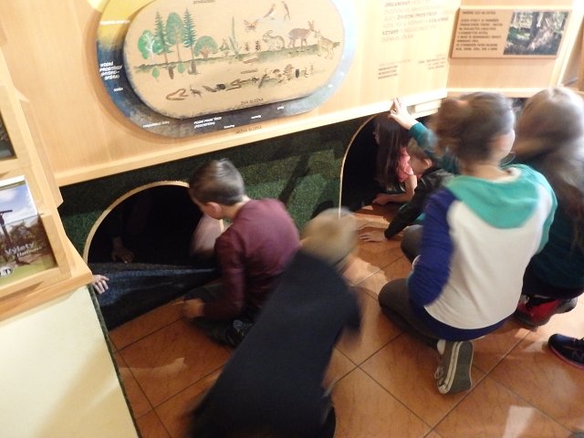 img00030.jpg