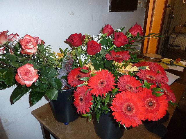 img00118.jpg